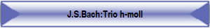 J.S.Bach:Trio h-moll