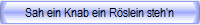 Sah ein Knab ein Rslein steh'n